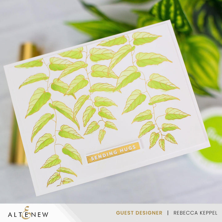 July 2024 Betterpress Plates Release Bundle