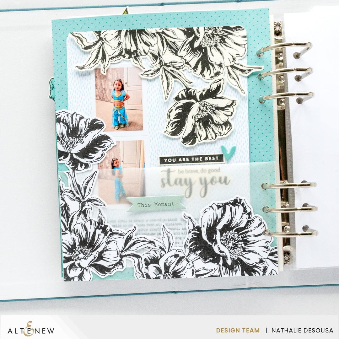 July 2024 Betterpress Plates Release Bundle