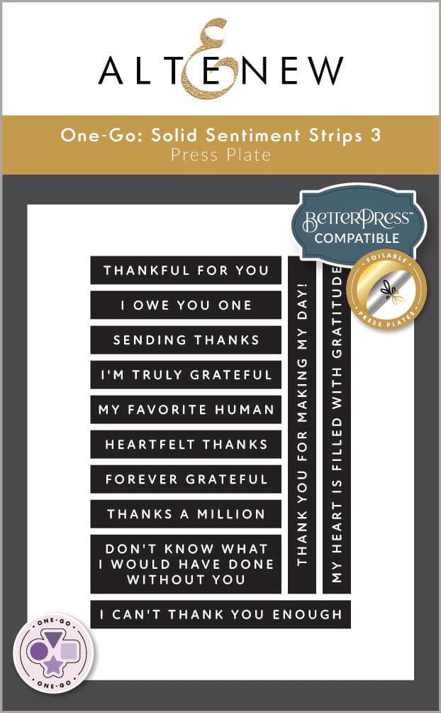 One-Go: Solid Sentiment Strips 3 Press Plates/Foil Plates (Gratitude Edition)