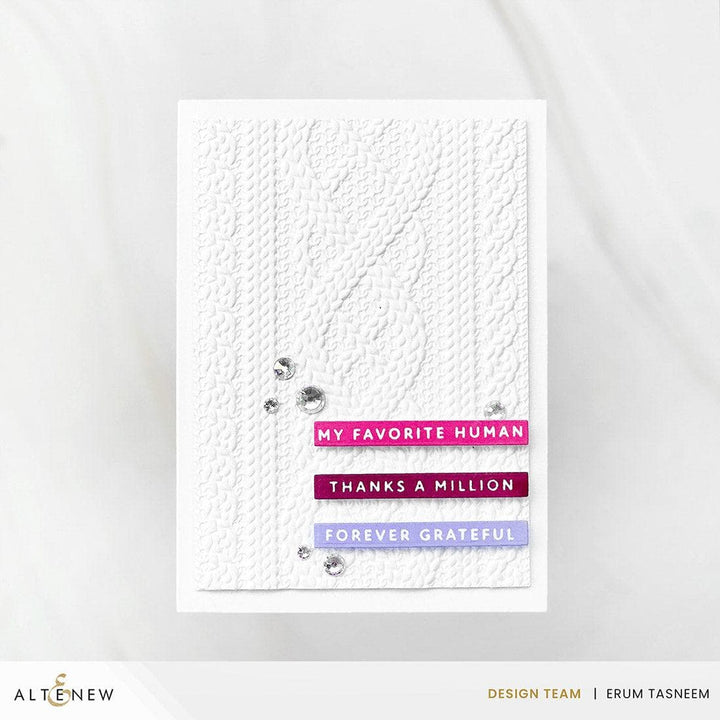 One-Go: Solid Sentiment Strips 3 Press Plates/Foil Plates (Gratitude Edition)
