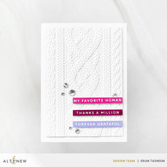 One-Go: Solid Sentiment Strips 3 Press Plates/Foil Plates (Gratitude Edition)