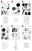 Altenew Build-A-Flower Bundle Build-A-Garden Bundle E