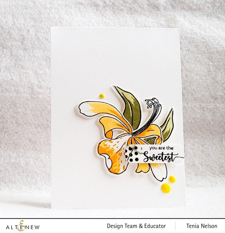 Altenew Build-A-Flower Set Build-A-Flower: Honeysuckle Layering Stamp & Die Set
