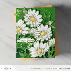 Build-A-Garden: Oxeye Daisy