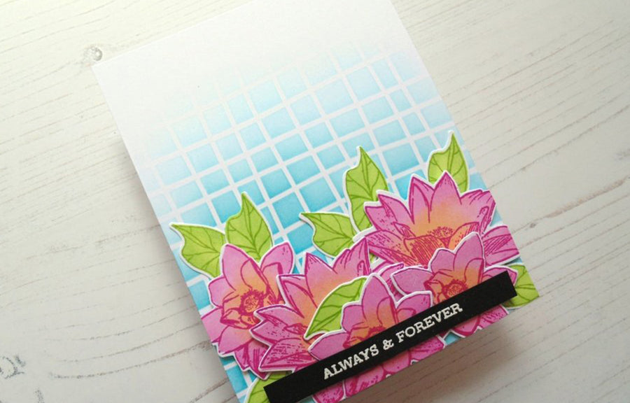 Adding Color to Solid Image Stamps Class class schedule