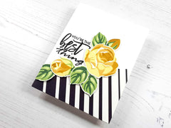 Altenew Creativity Kit Featurette Adding Sparkle to Stamped Images Class