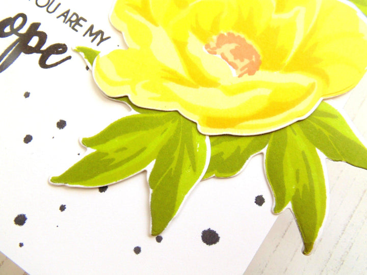 All About Layering Class Bundle (SAVE $167.93) Online Cardmaking Class