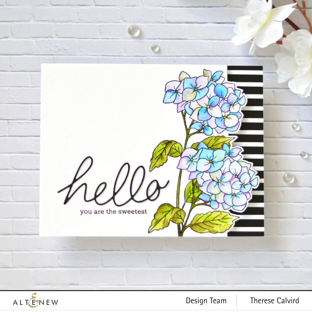Altenew Creativity Kit Featurette Creating Dimension  with Stamped Acetate Class