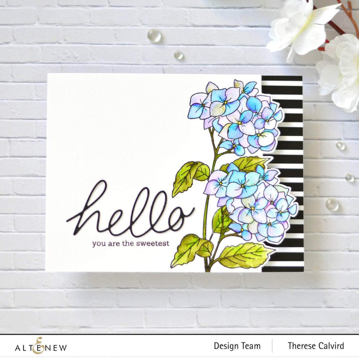 Altenew Creativity Kit Featurette Creating Dimension  with Stamped Acetate Class