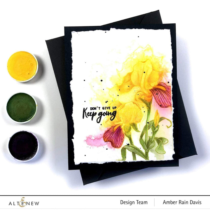 Altenew Creativity Kit Featurette Using Parts of a Stamped Image Class