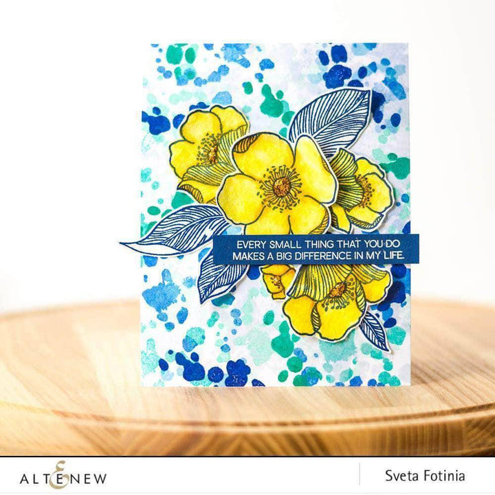Photocentric Clear Stamps A Splash of Color Stamp Set