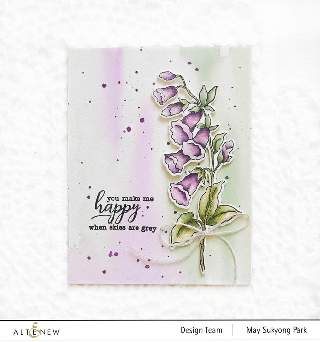 Photocentric Clear Stamps Across the Pond Stamp Set