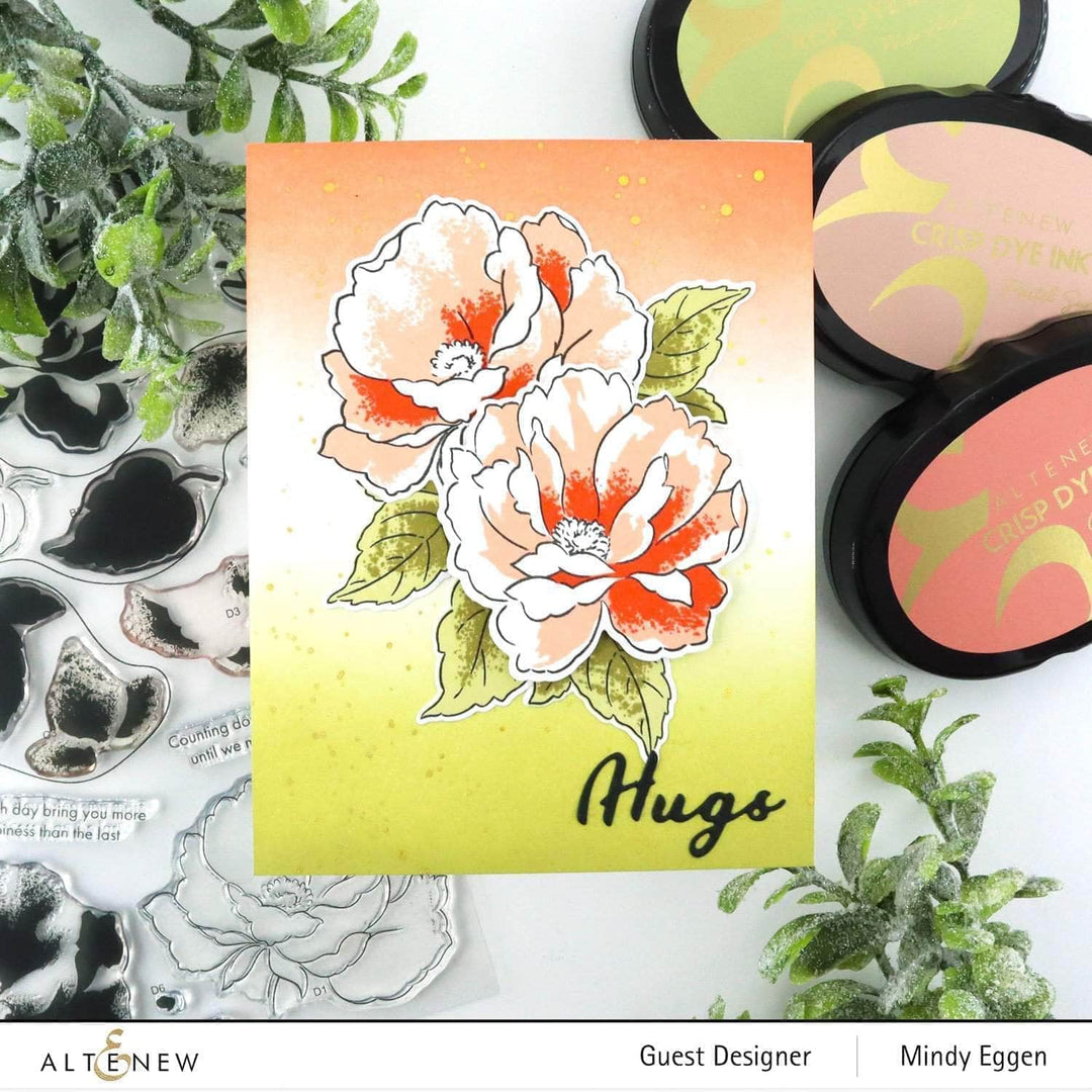 Photocentric Clear Stamps Airbrushed Flowers Stamp Set