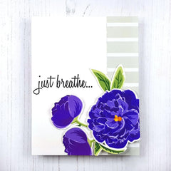 Photocentric Clear Stamps Bad Days Happen Stamp Set