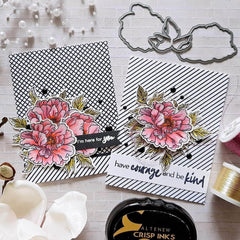 Photocentric Clear Stamps Better Together Stamp Set
