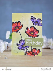 Photocentric Clear Stamps Birthday Builder Stamp Set
