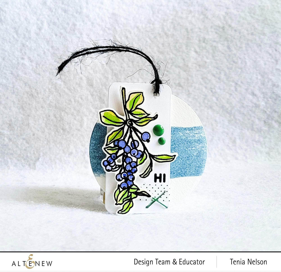 Photocentric Clear Stamps Blueberry Branch Stamp Set