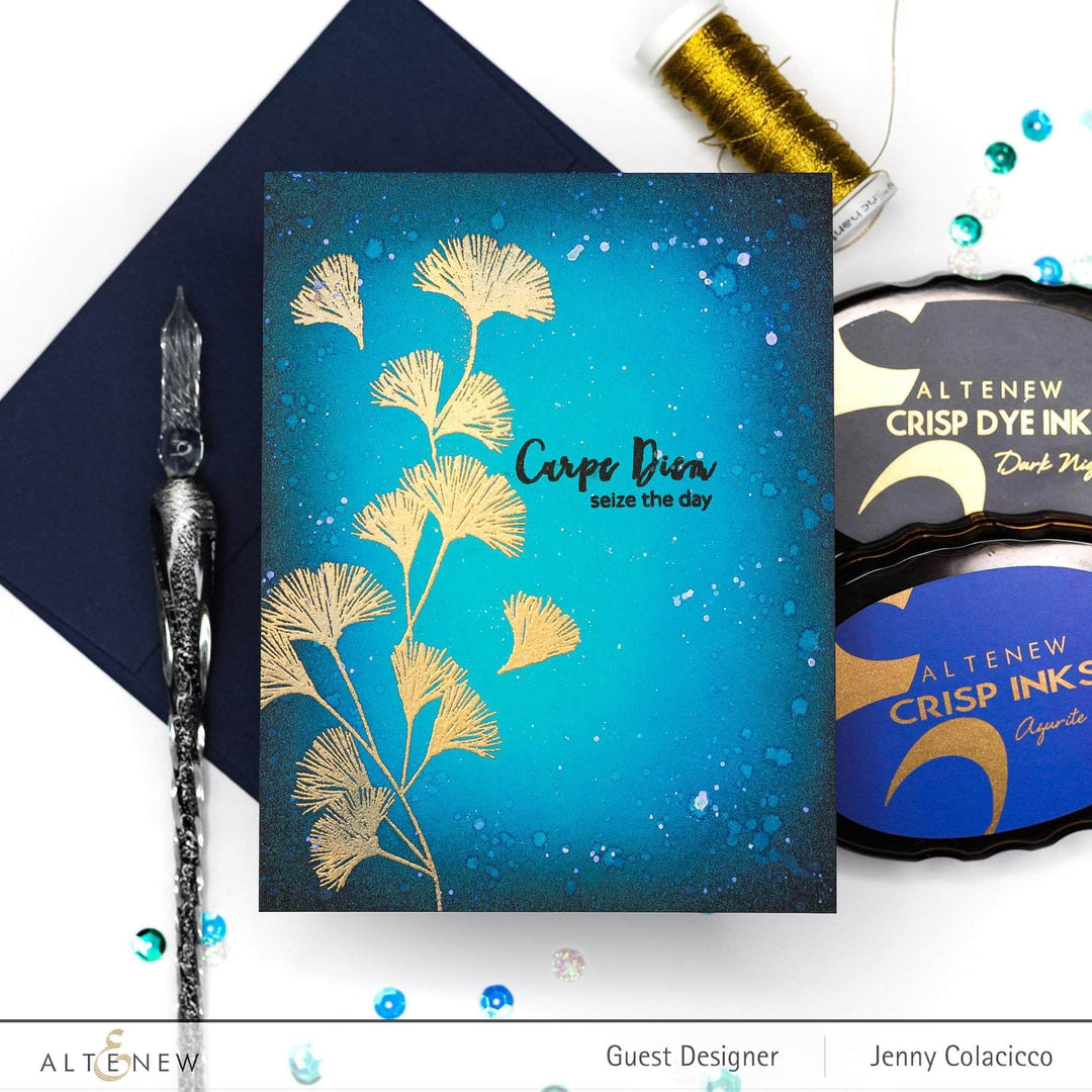 Photocentric Clear Stamps Carpe Diem Stamp Set