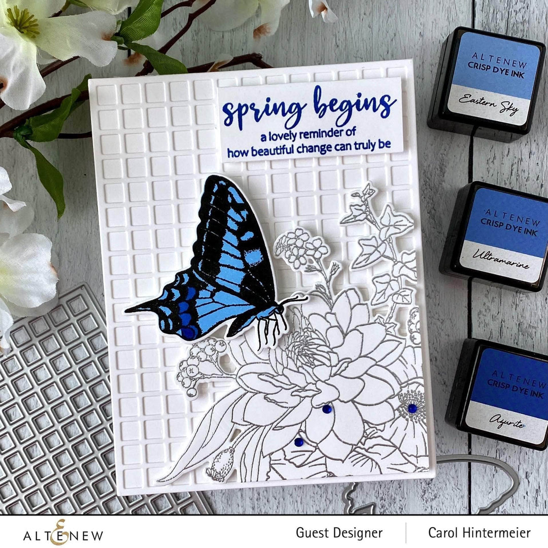 Photocentric Clear Stamps Dovetail Butterflies Stamp Set