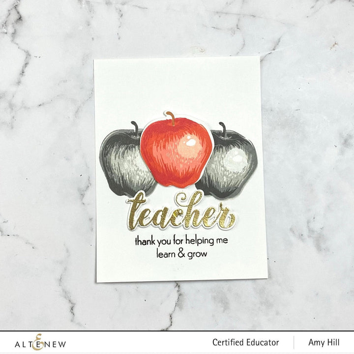 Photocentric Clear Stamps Educators Rule Stamp Set