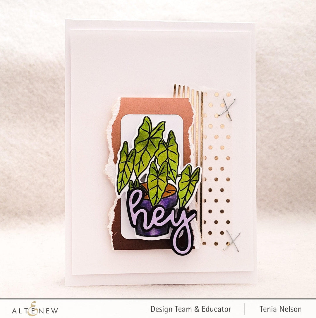 Photocentric Clear Stamps Elegant Alocasia Stamp Set
