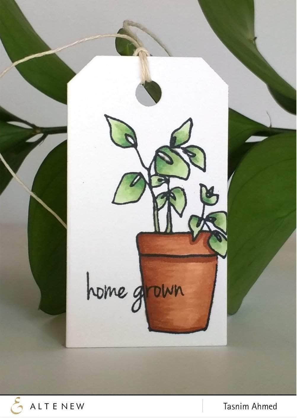 Photocentric Clear Stamps Garden Grow Stamp Set