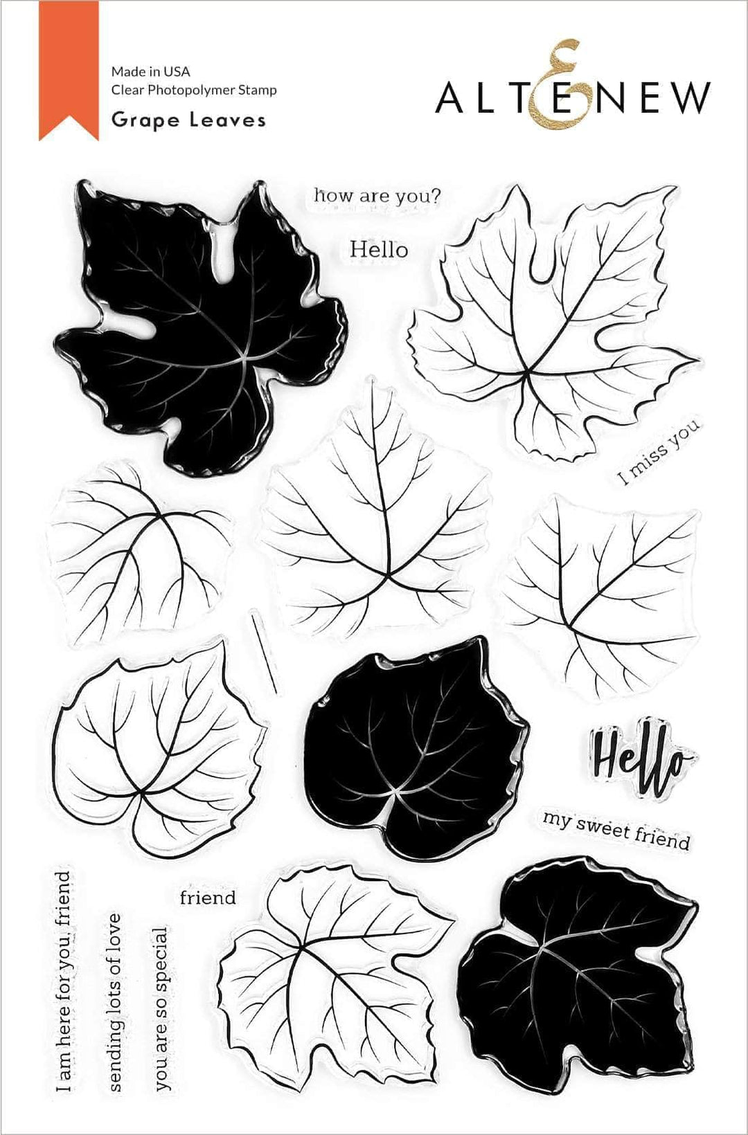 Photocentric Clear Stamps Grape Leaves Stamp Set