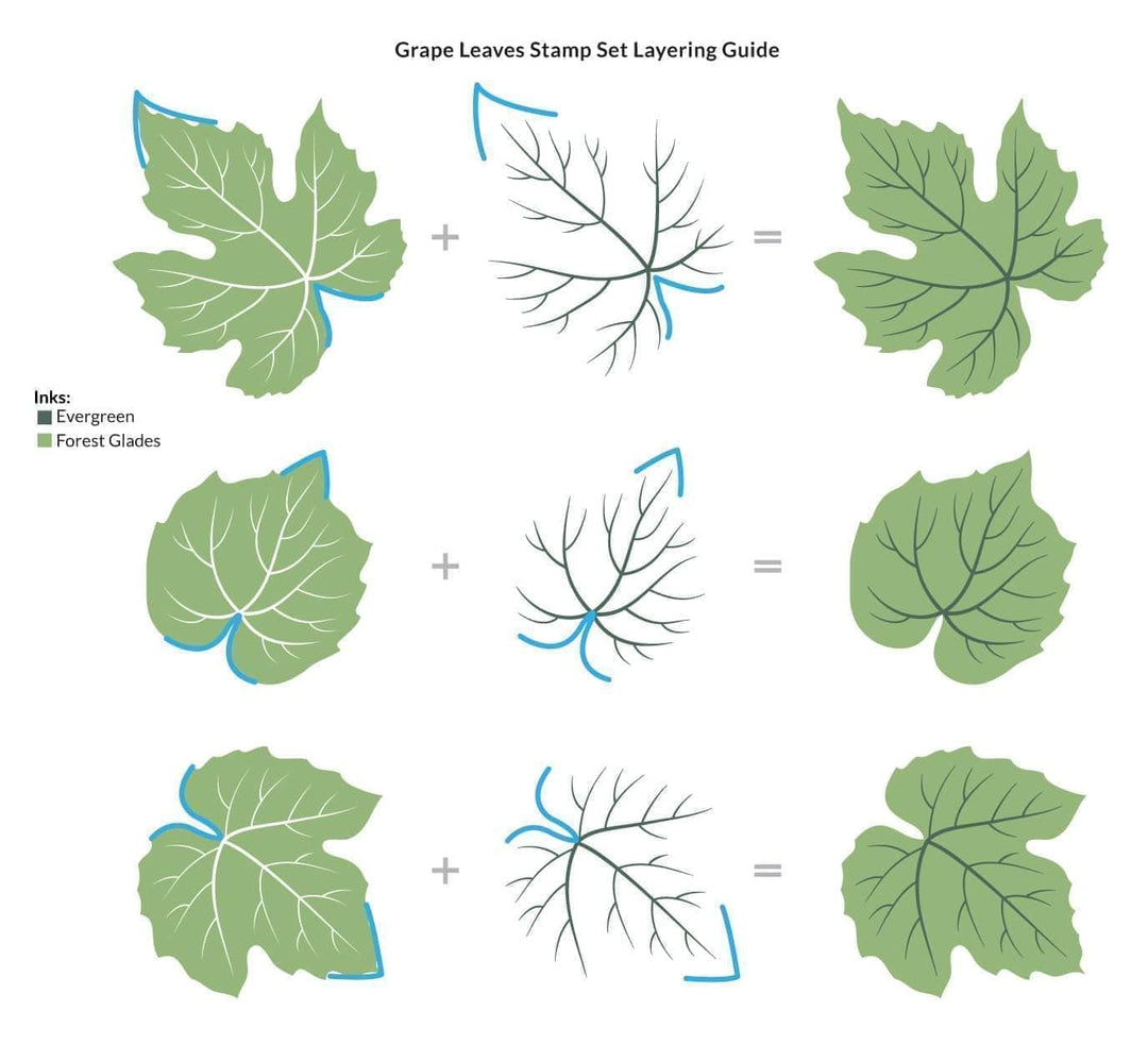 Photocentric Clear Stamps Grape Leaves Stamp Set
