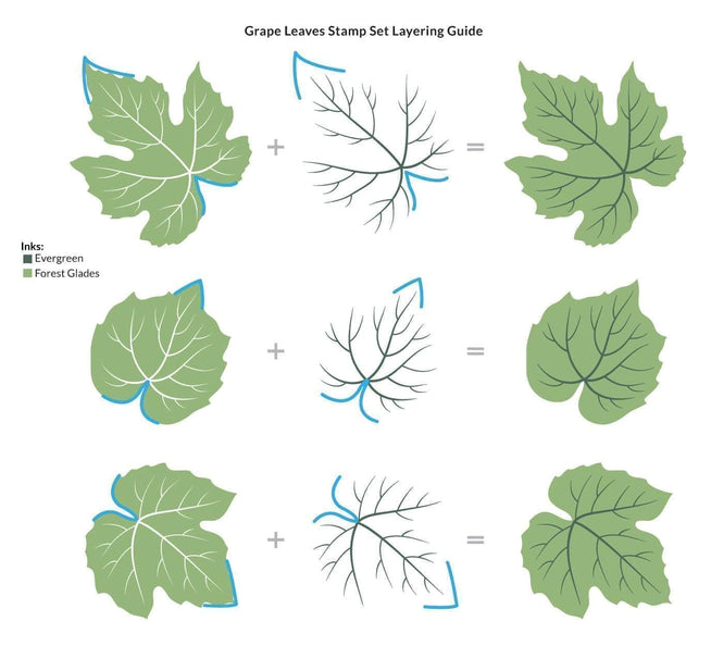 Photocentric Clear Stamps Grape Leaves Stamp Set