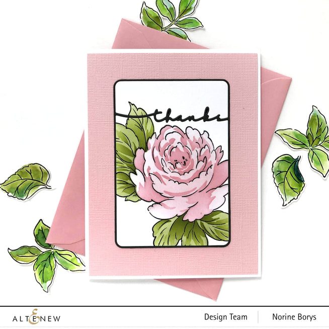 Photocentric Clear Stamps Kind Reminders Stamp Set