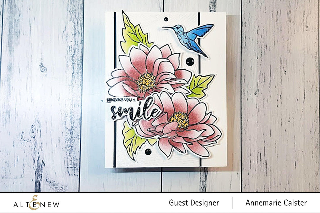 Photocentric Clear Stamps Linear Spiral Stamp Set