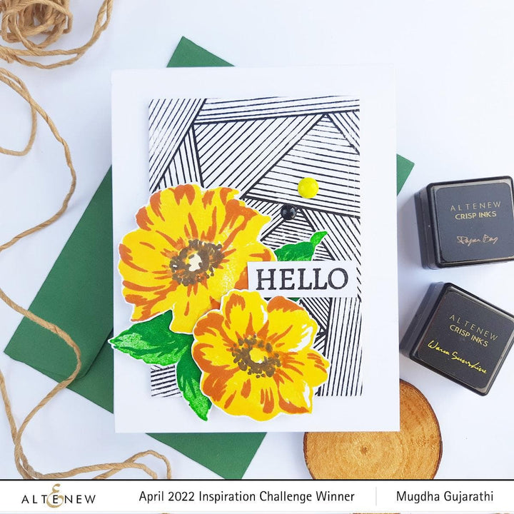 Photocentric Clear Stamps Linear Spiral Stamp Set