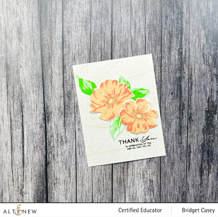 Photocentric Clear Stamps Linear Spiral Stamp Set
