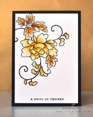 Photocentric Clear Stamps Many Thanks Stamp Set