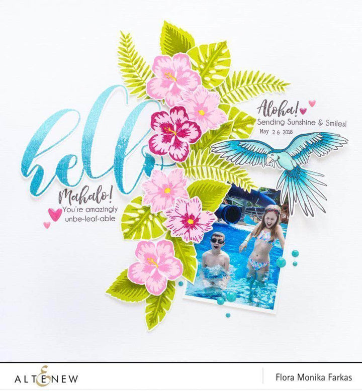 Photocentric Clear Stamps Mega Greetings Stamp Set
