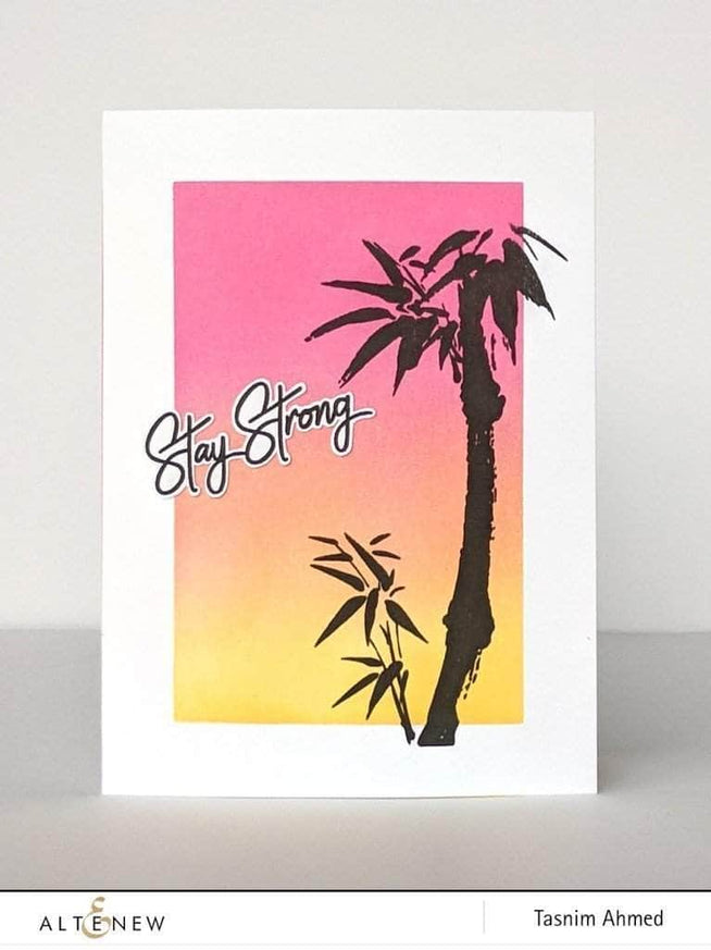Photocentric Clear Stamps Never Give Up Stamp Set
