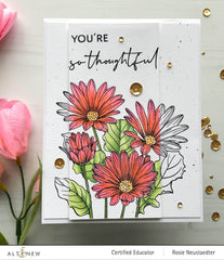 Photocentric Clear Stamps Paint-A-Flower: African Daisy Outline Stamp Set