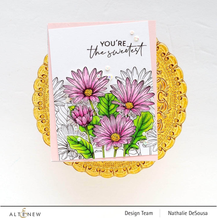 Photocentric Clear Stamps Paint-A-Flower: African Daisy Outline Stamp Set