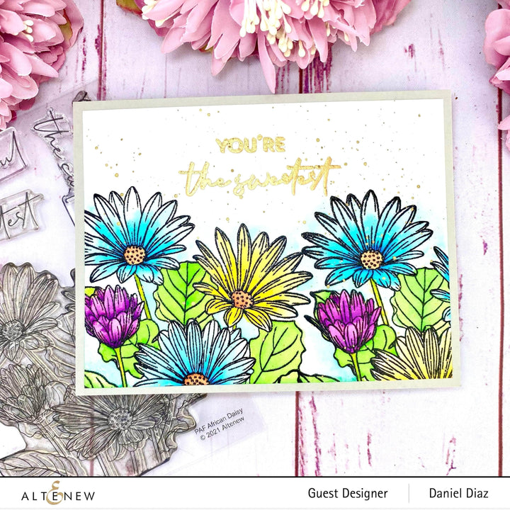 Photocentric Clear Stamps Paint-A-Flower: African Daisy Outline Stamp Set