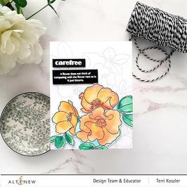 PMA Industries, Inc. Clear Stamps Paint-A-Flower: Carefree Delight Outline Stamp Set