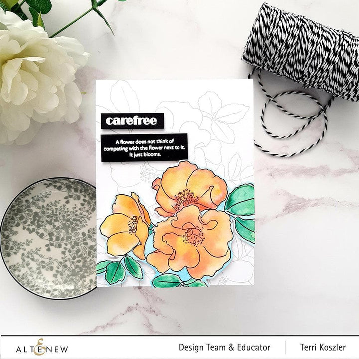 PMA Industries, Inc. Clear Stamps Paint-A-Flower: Carefree Delight Outline Stamp Set