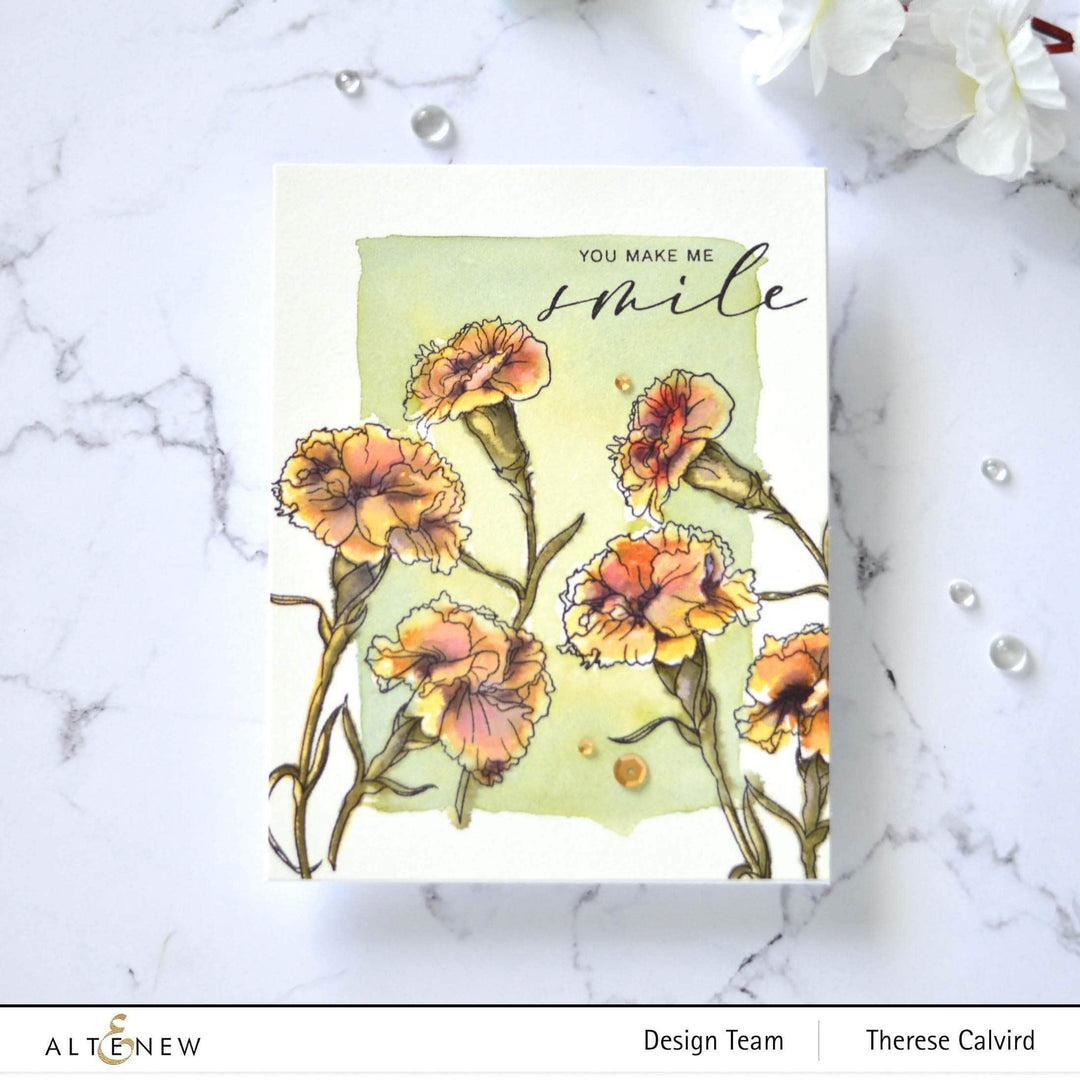 Photocentric Clear Stamps Paint-A-Flower: Carnations Outline Stamp Set