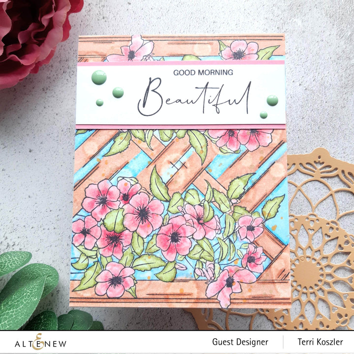 Photocentric Clear Stamps Paint-A-Flower: Clematis Outline Stamp Set
