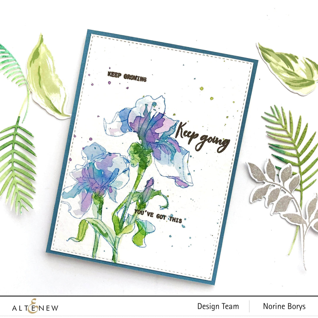 Photocentric Clear Stamps Paint-A-Flower: Iris Outline Stamp Set