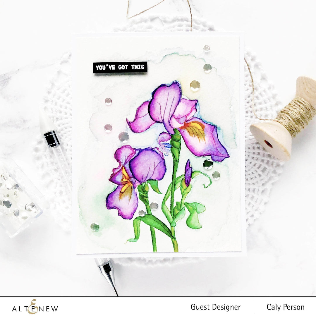 Photocentric Clear Stamps Paint-A-Flower: Iris Outline Stamp Set