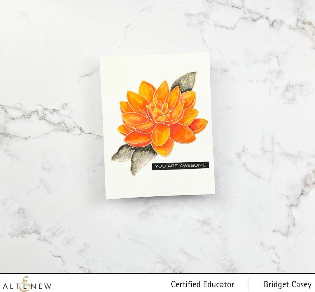 PMA Industries, Inc. Clear Stamps Paint-A-Flower: Waterlily Dahlia Outline Stamp Set
