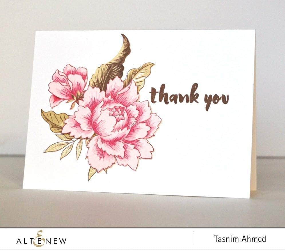 Photocentric Clear Stamps Painted Greetings Stamp Set