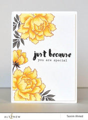 Photocentric Clear Stamps Painted Greetings Stamp Set