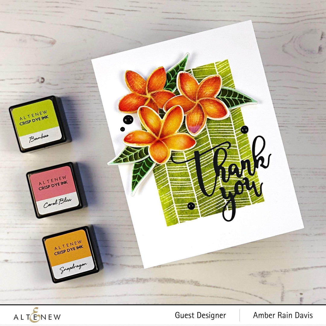 Photocentric Clear Stamps Playful Plumeria Stamp Set