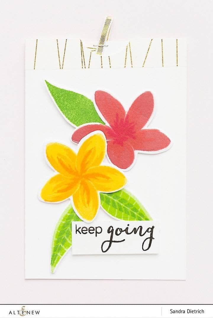 Photocentric Clear Stamps Playful Plumeria Stamp Set